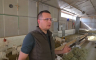 Četiri brata ostala na svom ognjištu i izgradila uspješnu farmu (VIDEO)