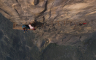 Objavljen trejler za "Fall 2: Deadpoint" (VIDEO)