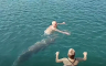Nesvakidašnja scena u Dalmaciji: Delfin se pridružio kupačima (VIDEO)