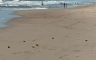Misteriozne jabuke se pojavile na plažu (FOTO)