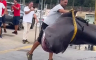 Ajkula od četiri metra pronađena mrtva na plaži u italijanskom ljetovalištu (VIDEO)