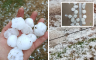 Superćelijska oluja zahvatila Hercegovinu: Krupan grad zabijelio Nevesinje (FOTO/VIDEO)