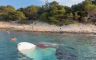 Šok kod Hvara: Snimali potapanje brodice i nisu pomogli turistima