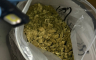Hapšenje u akciji "Amikus" u Banjaluci: Oduzeti droga i novac (FOTO)
