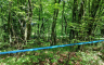 Pod velom tajne sudbina 7.567 nestalih u BiH