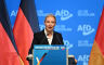 Šefica AfD-a: Ukinućemo evro, zatvoriti granice i izaći iz Šengena
