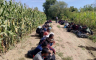 Otkriven 61 ilegalni migrant na području Kozarske Dubice
