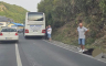 Drama kod Travnika: Medvjed istrčao pred autobus