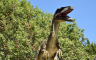 Nova vrsta dinosaurusa otkrivena u Zimbabveu: Živio prije 210 miliona godina