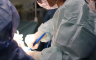 Transplantirani bubreg svinje funkcionisao u tijelu čovjeka 271 dan, oboren rekord