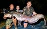 Upecali soma od 225 centimetara: “Koliko kila vi dajete ovom brkonji?”