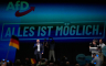 Šta stoji iza rekordne pobjede AfD-a: Migracije nisu presudile