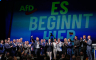 AfD želi iz temelja mijenjati Njemačku