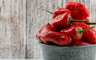 Koliko je paprika potrebno za kilogram ajvara, ovo je najpošteniji odgovor