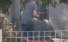 Pekli prase u dvorištu Zemaljskog muzeja u Sarajevu, stigla reakcija (VIDEO)
