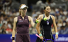 Birel i Džoint u finalu WTA turnira u Seulu