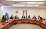 Odbor za ustavna pitanja NS RS: Odbaciti apelacije o simbolima Armije RBiH