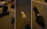 Maskirani pokušali zapaliti lokal u Beogradu, policija bila brža (VIDEO)