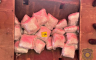 Hapšenje u akciji "Kamen": U šleperu pronađeno 100 kilograma droge (FOTO)