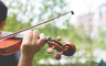 Vic dana: Časovi violine